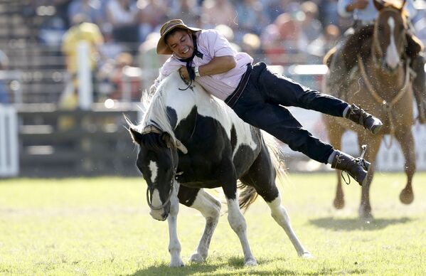 Người dự rodeo hàng năm tại Montevideo, Uruguay - Sputnik Việt Nam