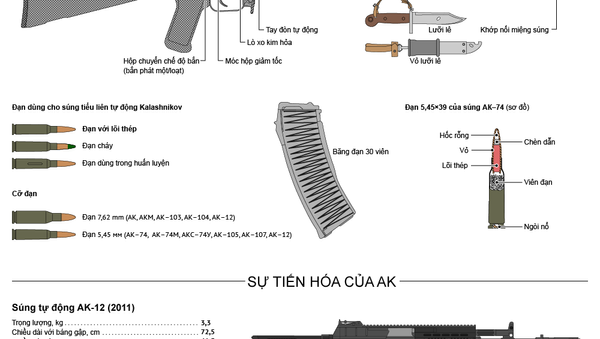 Súng tiểu liên tự động Kalashnikov (AK) - Sputnik Việt Nam