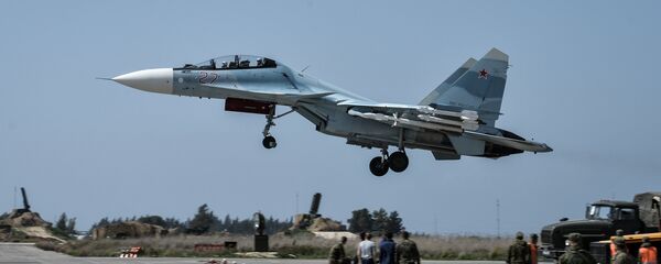 Su-30SM - Sputnik Việt Nam