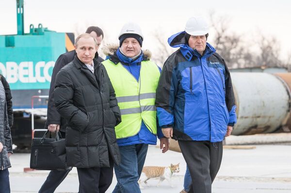 Trang của mèo Mostik trên mạng xã hội Facebook - Sputnik Việt Nam