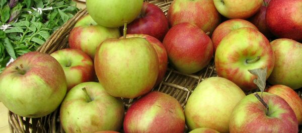 Táo - Sputnik Việt Nam