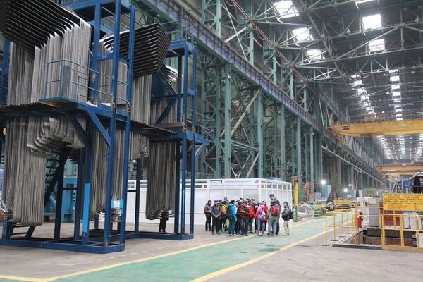 Sinh viên Việt Nam đang thực tập tại Volgodonsk (nhà máy điện hạt nhân Rostov) - Sputnik Việt Nam