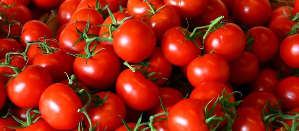 Cà chua - Sputnik Việt Nam