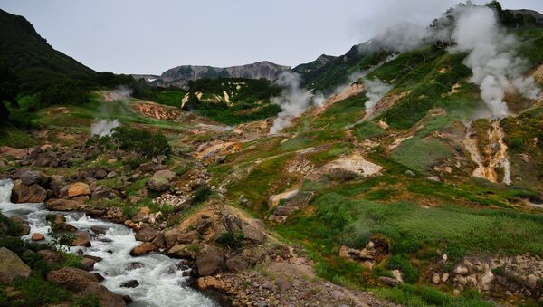 Thung lũng Geysers trong Khu bảo tồn thiên nhiên Kronotsky - Sputnik Việt Nam