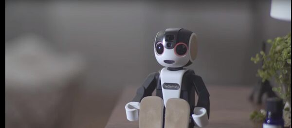 Mini-robot Nhật Bản - thợ bách nghệ - Sputnik Việt Nam