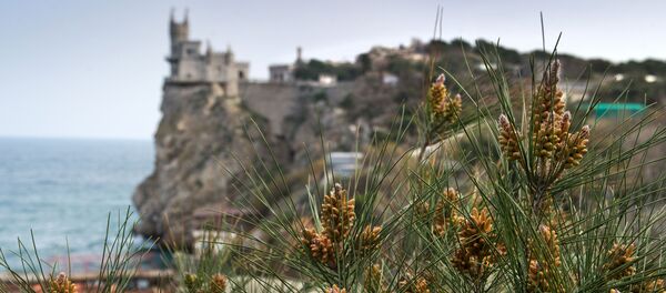 Crưm Crưm - Sputnik Việt Nam