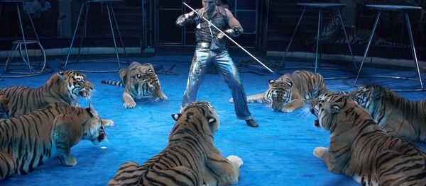 rạp xiếc - Sputnik Việt Nam