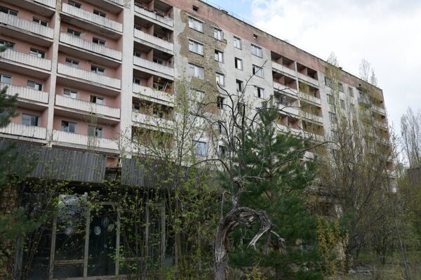 33 năm sau thảm họa. Liệu Chernobyl ngày nay có còn nguy hiểm không? - Sputnik Việt Nam