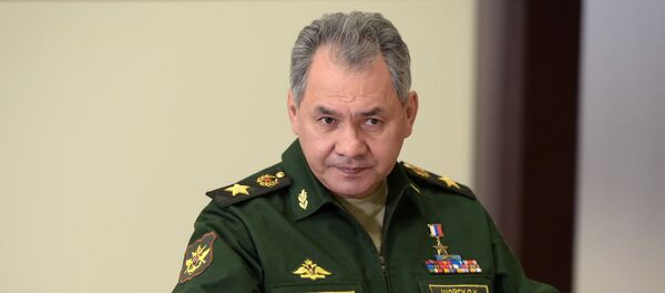 Bộ trưởng Quốc phòng Nga Tướng Sergei Shoigu - Sputnik Việt Nam
