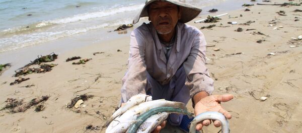 Hiện tượng cá chết hàng loạt ở vùng ven bờ biển miền Trung Việt Nam Hiện tượng cá chết hàng loạt ở vùng ven bờ biển miền Trung Việt Nam - Sputnik Việt Nam