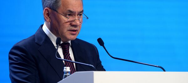 Bộ trưởng Quốc phòng Shoigu - Sputnik Việt Nam