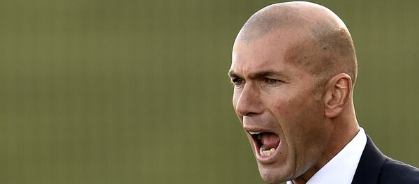 Zinedine Zidane - Sputnik Việt Nam