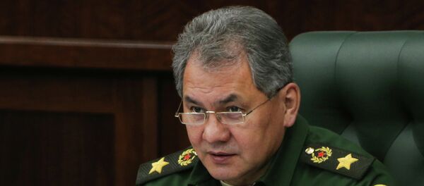 Sergei Shoigu - Sputnik Việt Nam