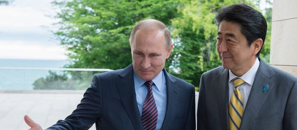 Ông Putin gặp Thủ tướng Nhật Bản Shinzo Abe tại Sochi - Sputnik Việt Nam