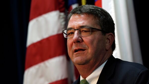 Ashton Carter - Sputnik Việt Nam