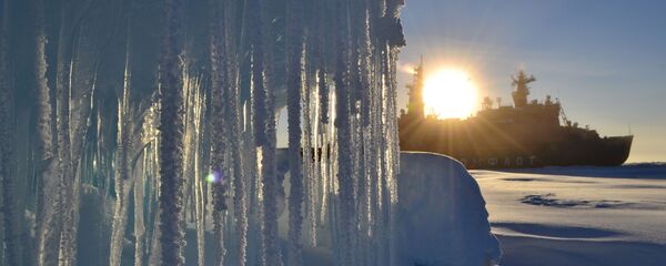 Cuộc sống khắc nghiệt hàng ngày của nhà thám hiểm địa cực - Sputnik Việt Nam