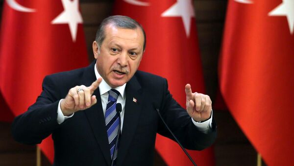 Recep Tayyip Erdogan - Sputnik Việt Nam