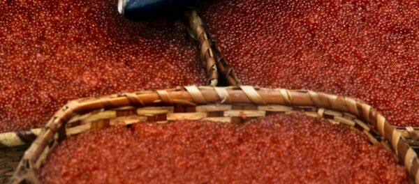 trứng cá - Sputnik Việt Nam