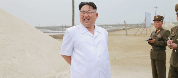 Kim Jong-un - Sputnik Việt Nam