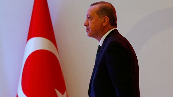 Recep Tayyip Erdogan - Sputnik Việt Nam