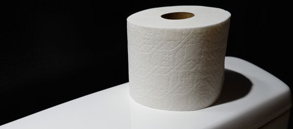 Giấy vệ sinh - Sputnik Việt Nam