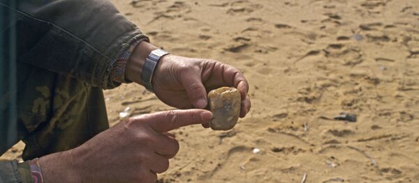 Nhà khảo cổ - Sputnik Việt Nam