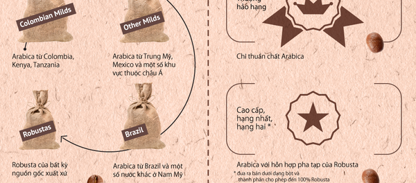 Cà phê thượng hảo hạng: Arabica thứ thiệt khác biệt gì - Sputnik Việt Nam