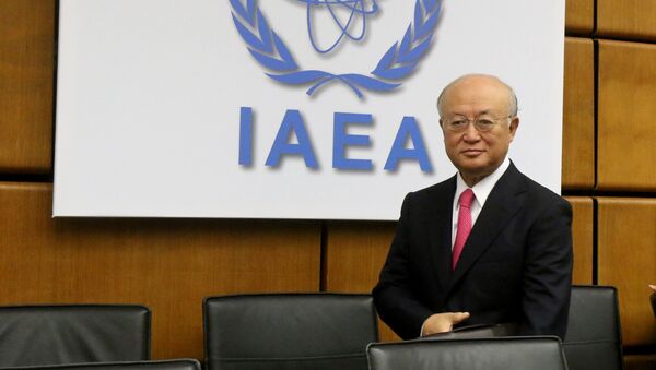 Tổng giám đốc IAEA, ông Yukiya Amano - Sputnik Việt Nam