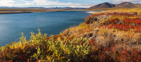 Amguema là một dòng chảy tại Viễn Đông Siberi của Nga - Sputnik Việt Nam