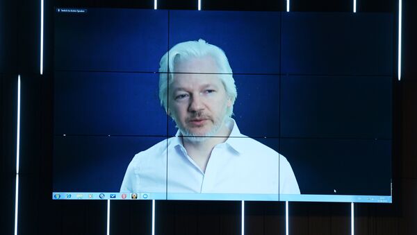 Julian Assange - Sputnik Việt Nam