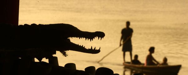 Cá sấu - Sputnik Việt Nam