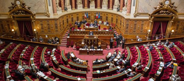 Thượng viện Pháp - Sputnik Việt Nam