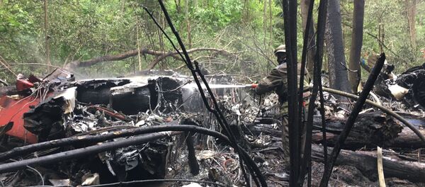 Su-27 rơi ở ngoại ô Moskva, phi công thiệt mạng - Sputnik Việt Nam