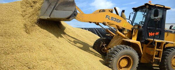 Ngũ cốc Ngũ cốc - Sputnik Việt Nam