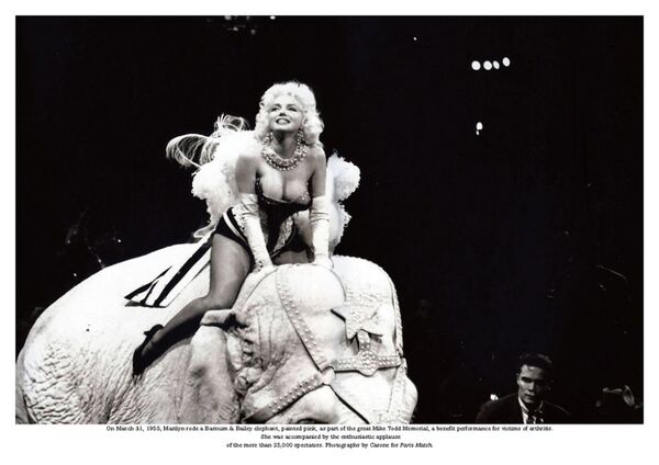 Marilyn Monroe Marilyn Monroe - Sputnik Việt Nam