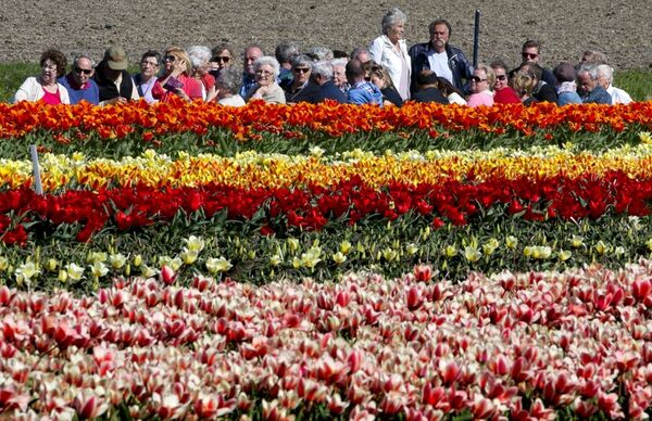 Du khách trong công viên Keukenhof ở Hà Lan - Sputnik Việt Nam