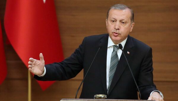 Tổng thống Thổ Nhĩ Kỳ Recep Tayyip Erdogan - Sputnik Việt Nam