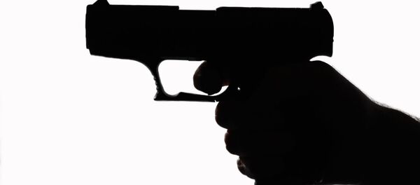 Khẩu súng - Sputnik Việt Nam