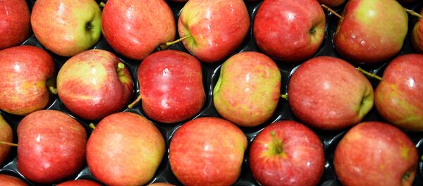 Táo Ba Lan Táo Ba Lan - Sputnik Việt Nam