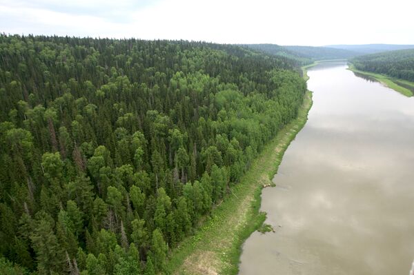 NYT: Trung Quốc chặt hạ rừng Siberia khiến người dân địa phương lo lắng NYT: Trung Quốc chặt hạ rừng Siberia khiến người dân địa phương lo lắng - Sputnik Việt Nam