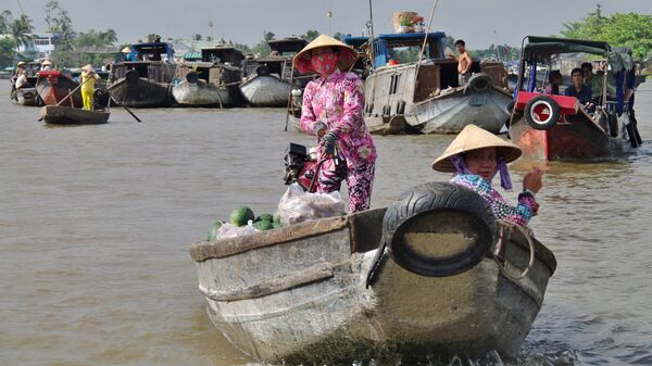 sông Cửu Long - Sputnik Việt Nam