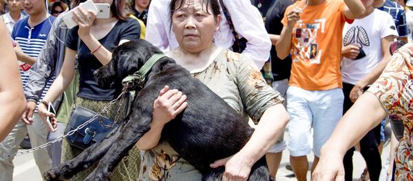 Trung Quốc: Nộp tiền chuộc để cứu chó khỏi bị ăn thịt trong lễ hội - Sputnik Việt Nam