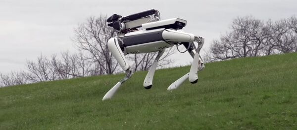 SpotMini SpotMini - Sputnik Việt Nam