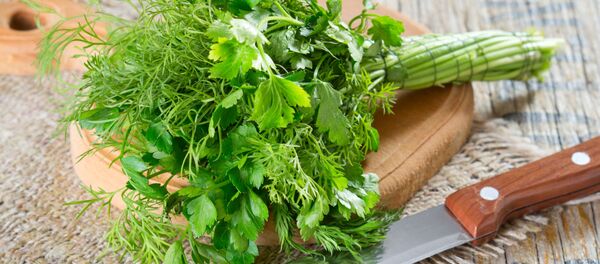 Mùi tây và rau thì Mùi tây và rau thì - Sputnik Việt Nam
