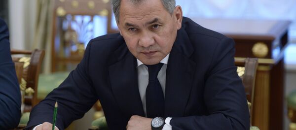 Bộ trưởng Quốc phòng Nga Sergei Shoigu - Sputnik Việt Nam