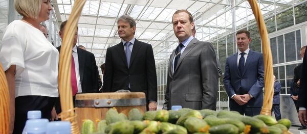 Thủ tướng Nga Dmitry Medvedev tại ngoại thành Matxcơva Thủ tướng Nga Dmitry Medvedev tại ngoại thành Matxcơva - Sputnik Việt Nam