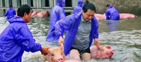 Những hình ảnh nổi bật nhất trong tuần. 2 - 8 tháng Bảy - Sputnik Việt Nam