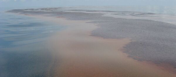 Dầu trong vịnh Mexico - Sputnik Việt Nam