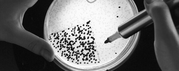 Vi khuẩn  - Sputnik Việt Nam