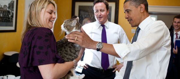 Con mèo Larry, David Cameron và Barack Obama tại 10 Downing Street, London Con mèo Larry, David Cameron và Barack Obama tại 10 Downing Street, London - Sputnik Việt Nam